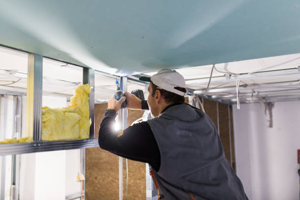 Best Blown-in Insulation  in Clifton Springs, NY