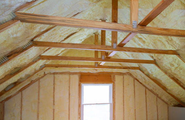 Best Insulation for New Construction  in Clifton Springs, NY