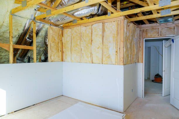 Best Insulation Inspection Services  in Clifton Springs, NY