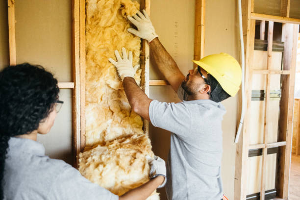 Best Affordable Insulation Services  in Clifton Springs, NY