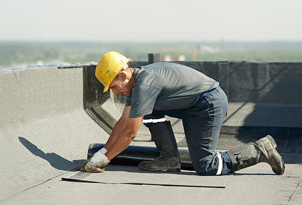 Best Best Insulation Companies  in Clifton Springs, NY