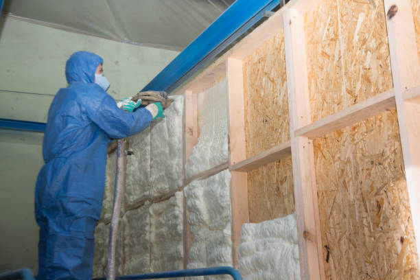 Best Home Insulation Services  in Clifton Springs, NY