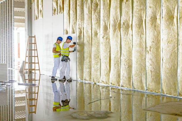 Best Crawl Space Insulation  in Clifton Springs, NY